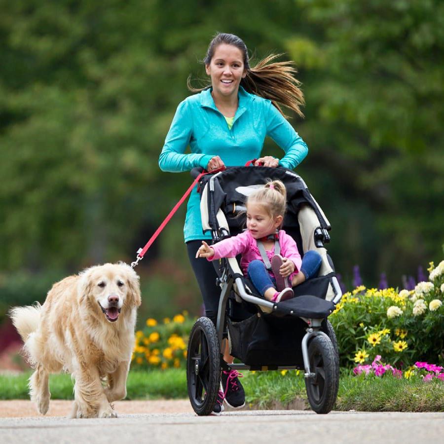 母亲和孩子带着狗在附近慢跑